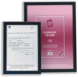 Photo Album Company Picture or Certificate Frame