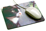 Mousemat