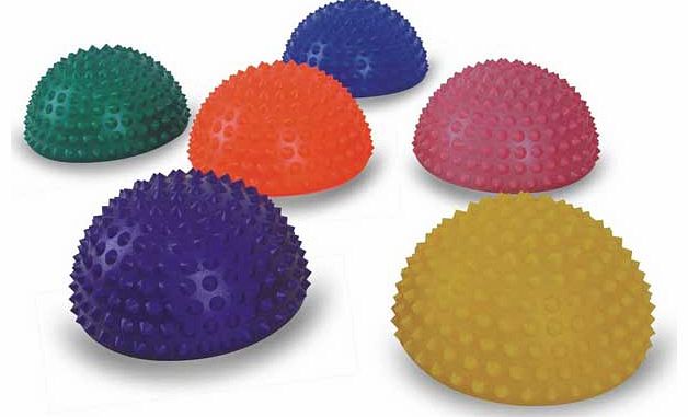 Physical Company Hedgehog Pods - Set of 6
