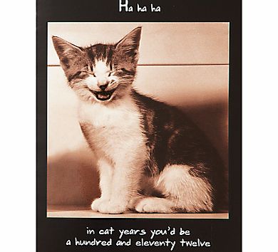 Pigment Smiling Cat Birthday Card