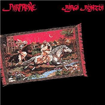 Piirpauke Birgi B&uuml;ht&uuml;i