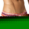 Pikante mike anatomic brief