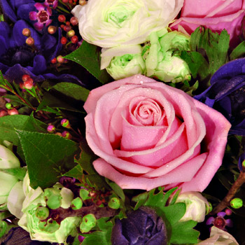 Pink and White Rose Spring Bouquet - flowers