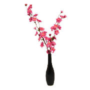 Pink Blossom in Black Vase