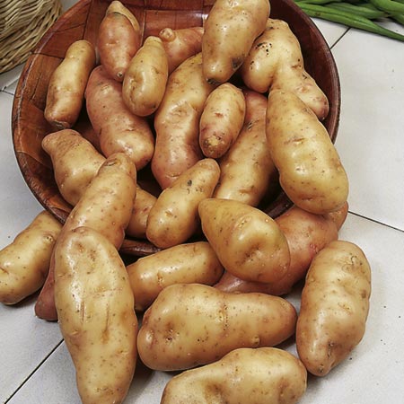 PINK Fir Apple Potatoes - 3 kg (Salad) 3 kg