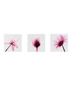 Pink Flower X-Ray Set Of 3