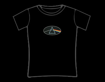 Pink Floyd Dark Side Of The Moon Skinny T-Shirt