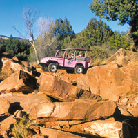 Pink Jeep Tours - Diamondback Gulch Tour Pink