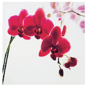 Pink Orchid Printed Canvas 40x40cm