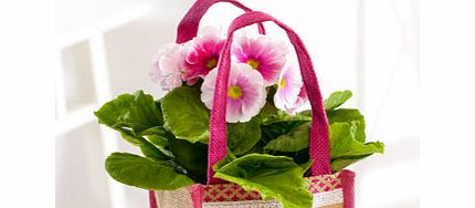 PINK Primula Gift Bag