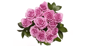 pink Rose Bouquet