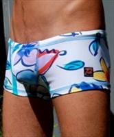 Pistol Pete Watercolour