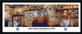 Ibrox Trophy Room 26x11` Framed Panoramic Print Rangers FC