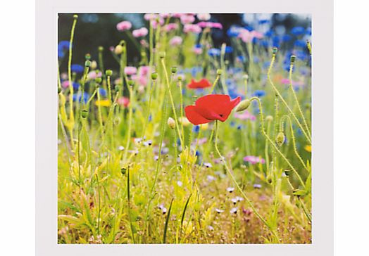 PJF Photography Peter John Fellows Wildflowers Greeting Card