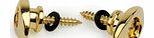 Planet Waves Solid Brass End Pins - Brass (Pair)