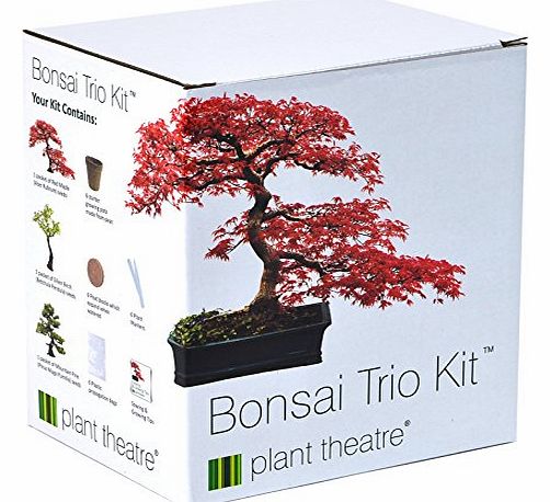 Plant Theatre Bonsai Trio Kit - 3 Distinctive Bonsai Trees to Grow - Great Gift