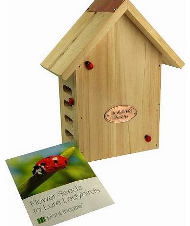 Lady Bird Lodge & Flower Seeds to Lure Ladybirds - Gift Boxed - Excellent MothersDay Gift