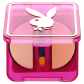 Playboy HIDDEN AGENDA CONCEALER FAIR