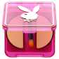Playboy HIDDEN AGENDA CONCEALER LIGHT