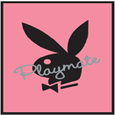 Playmate - Pink Poster