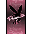 Playmate Neon Door Poster
