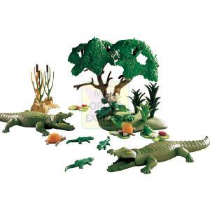 Zoo Alligator Habitat