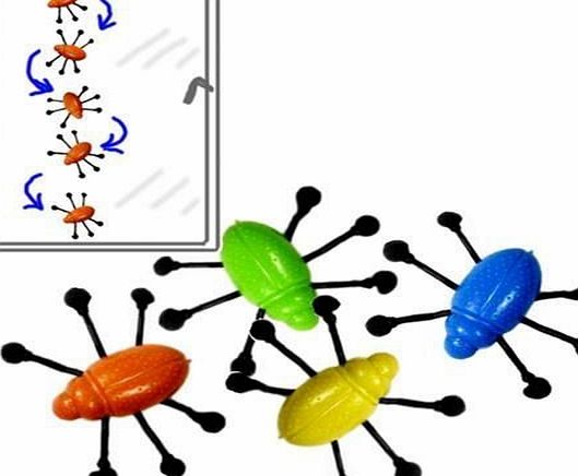 Playwrite 12 Window Walker Bugs