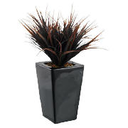 Plum Grasses In Shiny Black Planter