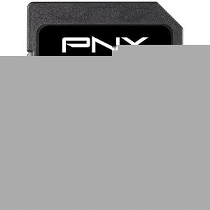 PNY 16GB High Performance SD Card (SDHC) -