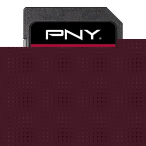 PNY 32GB High Performance SD Card (SDHC) -
