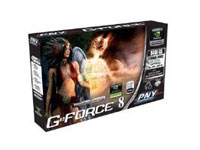 PNY 8400GS/PCI-EXPRESS 256MB LOW PROFILE DVI/VGA GRAPHICS CARD