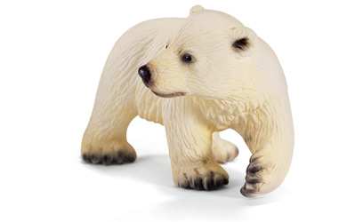 polar Bear Cub