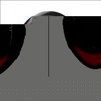 CS600 + Free Water Bottle and Polygon