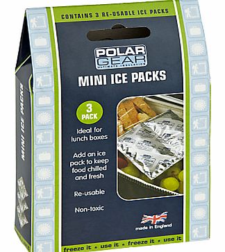 Polar Gear Ice Packs, Set of 3