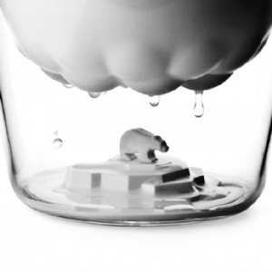 Polar Ice Bucket and Tongs