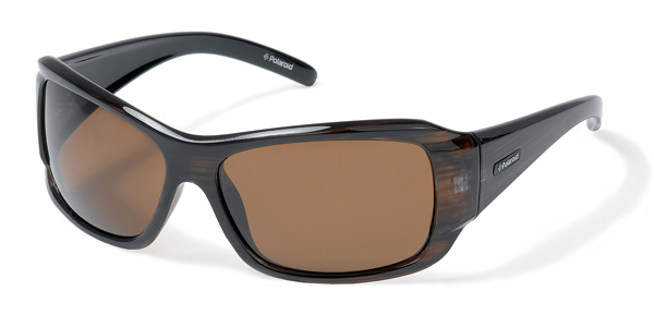 Polaroid 8827 Acetate Sunglasses