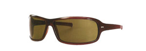 Police 1479 Sunglasses