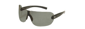 Police 1489S Sunglasses
