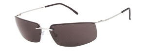 Police 2883 sunglasses