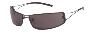 Police 2887 sunglasses