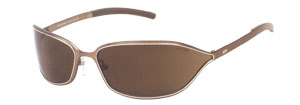 Police 2893 sunglasses