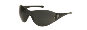 Police 2941S Sunglasses