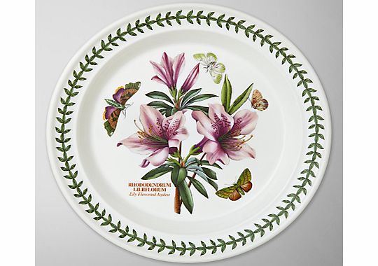 Botanic Garden Plate, Azalea, Dia.25cm