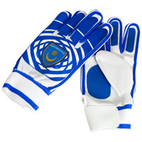 Portsmouth Goalie Gloves.