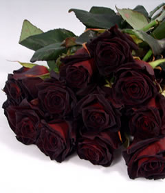 Black Roses