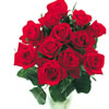 Dozen Red Roses