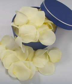 Fresh Cream Rose Petals
