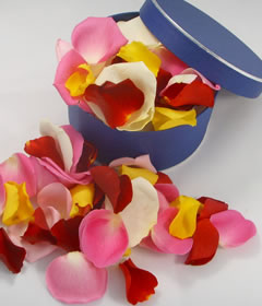 Fresh Mixed Rose Petals