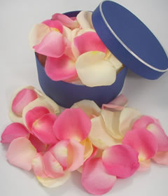 Fresh Pink & Cream Rose Petals
