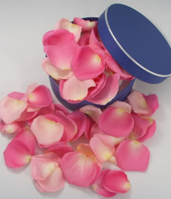 Fresh Pink Rose Petals